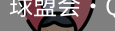 球盟会